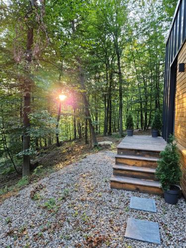 a set of stairs with the sun shining through the trees at Apartman Košuta in Laktaši