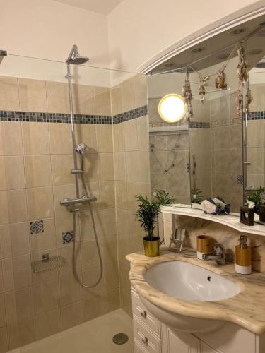ein Bad mit einer Dusche, einem Waschbecken und einer Dusche in der Unterkunft Studio in the heart of Beaulieu sur mer in Beaulieu-sur-Mer