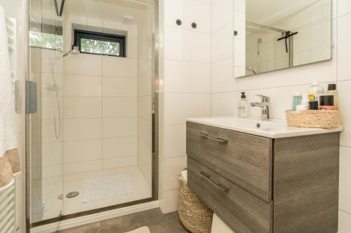 een badkamer met een douche en een wastafel bij Riethoek Westerschouwen in Burgh Haamstede