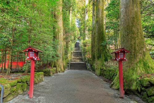 a stairway in a forest with red lanterns at Oku Yugawara Tsubaki in Yugawara