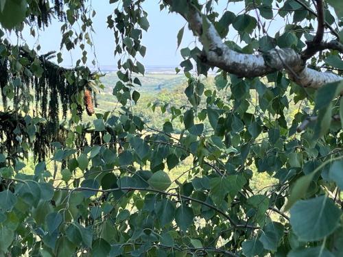Φυσικό τοπίο κοντά σε αυτή η παραθεριστική κατοικία