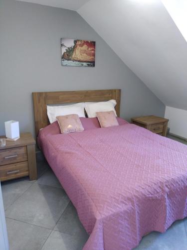 a bedroom with a bed with a purple comforter at Chez Claudia in Salazie