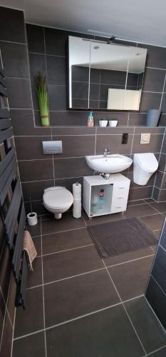 a bathroom with a sink and a toilet and a mirror at Büdingen Hanau Frankfurt in Büdingen
