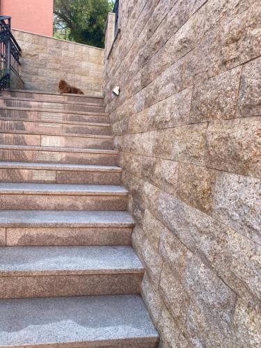 a stone wall with stairs with a dog sitting on it at Apartments Ivan in Petrovac na Moru