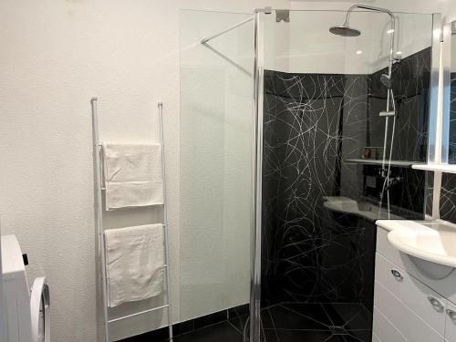 a bathroom with a glass shower and a sink at bel appartement climatisé centre in Albi