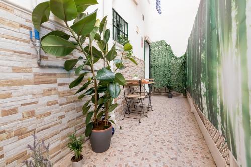 Exclusive Málaga Centre