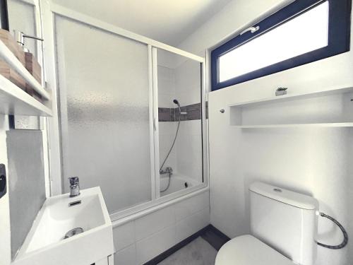 ein Bad mit einem WC, einer Dusche und einem Waschbecken in der Unterkunft Lavečka u Valtic in Valtice