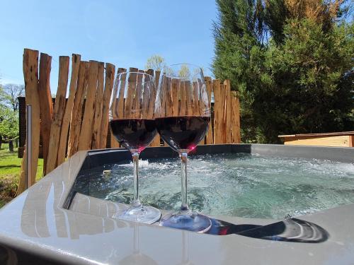 two glasses of wine sitting in a hot tub at Lavečka u Valtic in Valtice