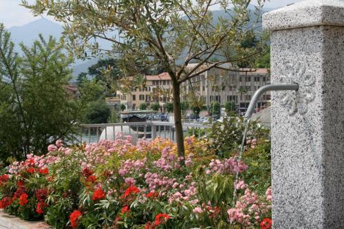 a garden of flowers with a tree in the background at Hotel Lovere Resort & Spa in Lovere