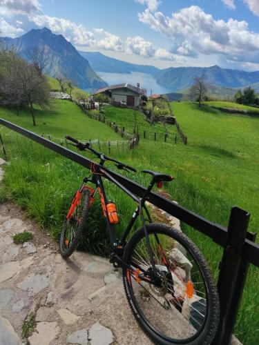 a bike parked next to a fence in a field at Hotel Lovere Resort & Spa in Lovere