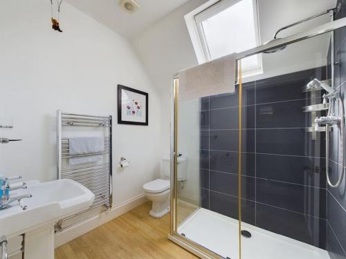 a bathroom with a shower and a sink and a toilet at The Old Vicarage in Ilfracombe