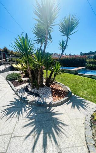 two palm trees are casting shadows on a sidewalk at Casa da Portela in Paredes de Coura