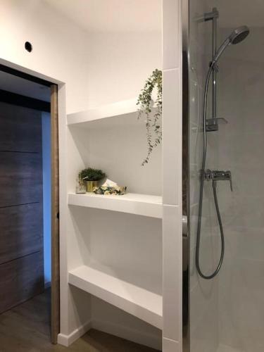 a bathroom with a walk in shower and a glass shower at Appartement le quartier haut in Sète