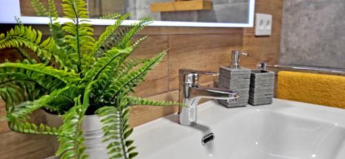 a bathroom sink with a faucet and a plant at Ferienwohnung Vista Faro in Morro Jable in Morro del Jable