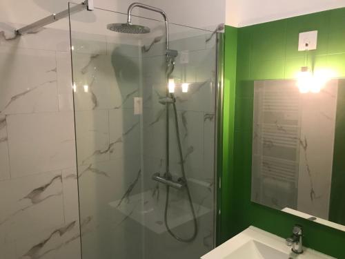 La salle de bains est pourvue d'une douche avec une porte en verre. dans l'établissement Appartement T2 de standing au pied des plages, au Golfe-Juan