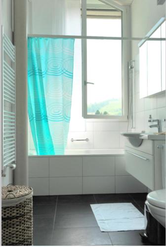 baño con bañera, lavabo y ventana en Nest - Baarerstrasse 82, en Zug
