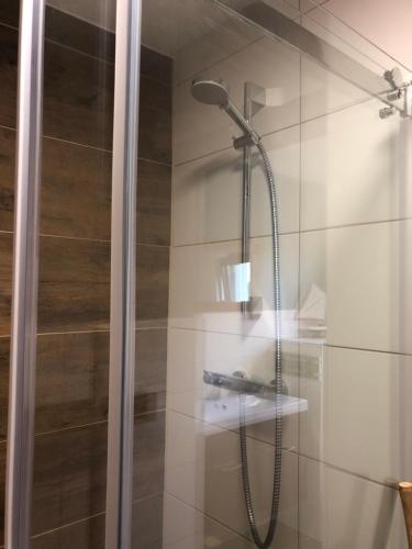um chuveiro numa casa de banho com uma porta de vidro em Ferienhaus "Buddelschiff" em Ueckermünde