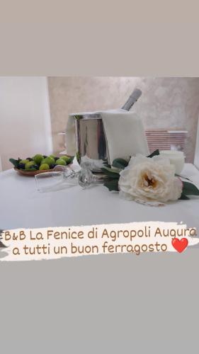 La Fenice – Photos 3
