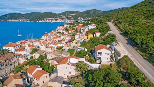 an aerial view of a town on a hill next to the water at HOLIDAY HOME KATE in Vis