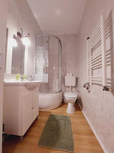 a bathroom with a sink and a toilet and a shower at Pensiunea Rock and Red in Râşnov