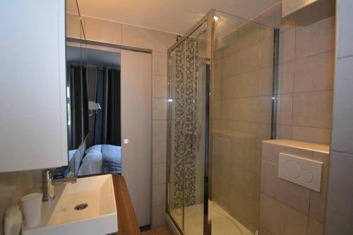 une salle de bain avec une douche, un lavabo et un miroir dans l'établissement Détente à Juan Les Pins 2 Pièces Climatisée à 500m des plages, à Antibes