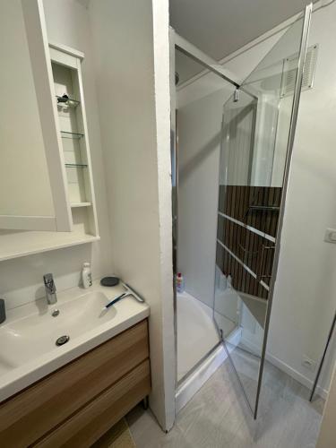 La salle de bains est pourvue d'un lavabo et d'une douche. dans l'établissement Chambre dans Résidence avec parking - proche Zenith, à Saint-Étienne-du-Rouvray