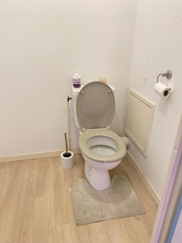 La salle de bains est pourvue de toilettes. dans l'établissement Somie, à Lille