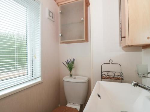 a bathroom with a toilet and a sink and a window at Swallows Lodge in Shepton Mallet