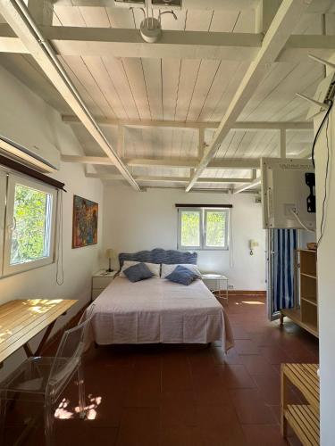 a bedroom with a large bed in a room at Depandance Casa Paolina in Capri