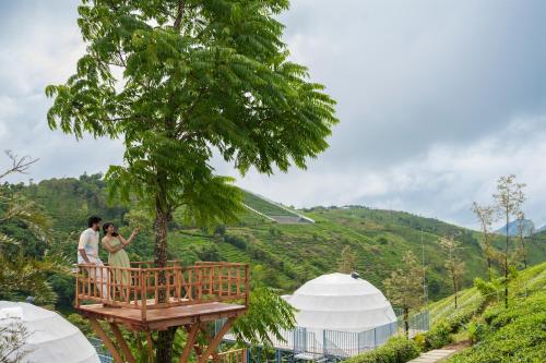 Un paisaje natural cerca del resort