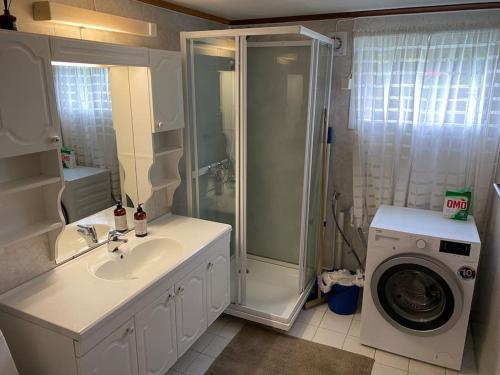 a bathroom with a sink and a washing machine at Feriehus i landlige område med nydelig utsikt in Leirvik