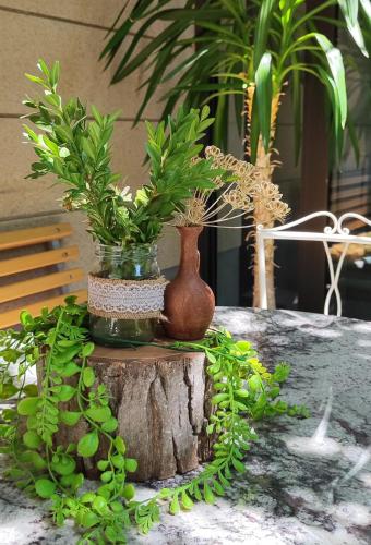 Zahrada ubytování Aya Maria Wellness SPA Resort