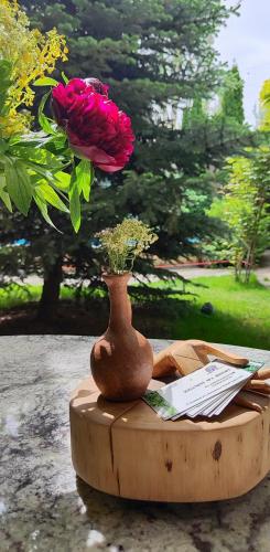 Zahrada ubytování Aya Maria Wellness SPA Resort