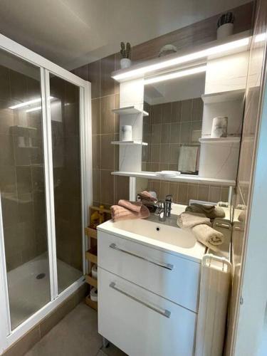 une salle de bain avec un lavabo et une douche dans l'établissement STUDIO PORT MARINA - Parking privé, climatisé au DUCAL, à Villeneuve-Loubet