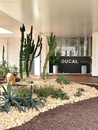 a group of cactuses and plants in front of a building at STUDIO-PORT-MARINA, Parking privé, climatisé au "DUCAL" in Villeneuve-Loubet