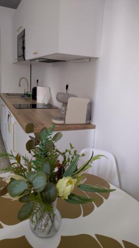 Η κουζίνα ή μικρή κουζίνα στο Nikifor Apartamenty Krynica-Zdrój