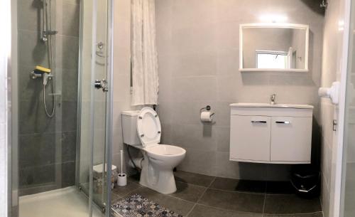a bathroom with a toilet and a sink and a shower at Cerviola Etrin Court in Marsaskala