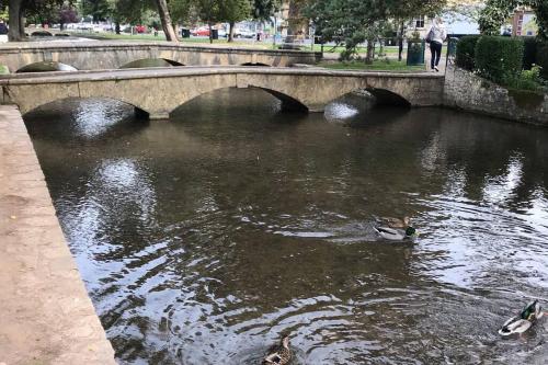 un groupe de canards nageant dans l'eau sous un pont dans l'établissement Historic Cotswold Chic Style for UK staycation, à Bourton-on-the-Water