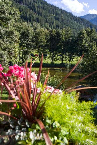 a bunch of flowers in a garden with a mountain at Huber Hotel Tramserhof in Landeck