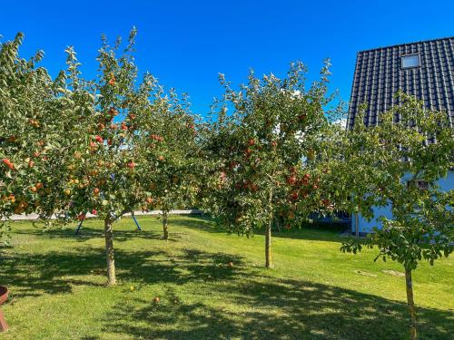 a group of apple trees in a field with a building at Holiday Home Blu Hus in Freest