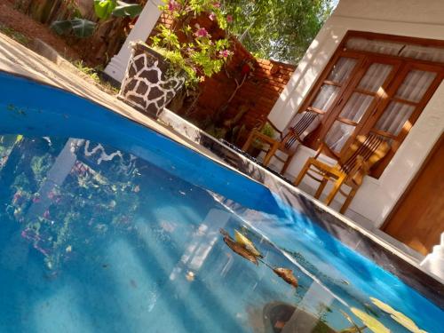 a swimming pool with a fish in the water at The Cozy Cottage Habarana in Habarana