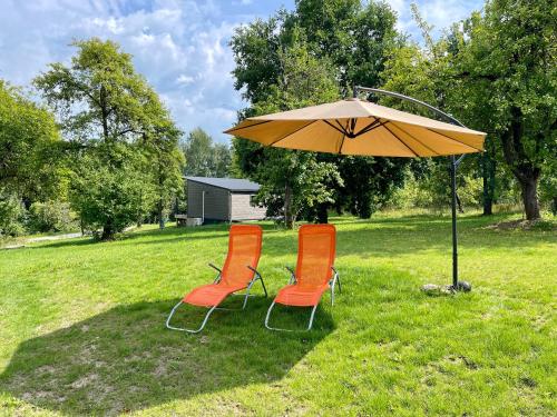 two chairs and an umbrella in the grass at Obuoliu Sala COZY HOUSE on the Apple Island in Gaylyunay
