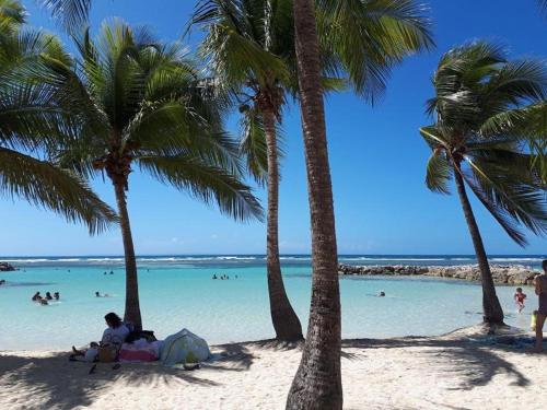 a group of people on a beach with palm trees at Le Blue CoCo - 1 minute de la plage in Sainte-Anne