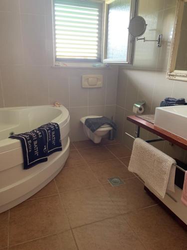 a bathroom with a tub and a toilet and a sink at Kuća Jelena in Veliki Prolog