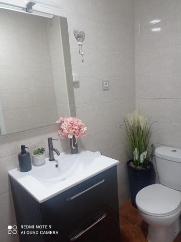 a bathroom with a sink and a toilet and a mirror at Zapaterías in León
