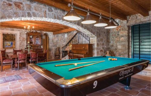 Biliár nebo kulečník v ubytování Villa Veli Vrh