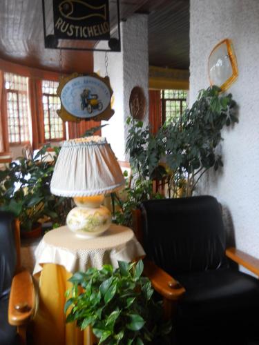 a lamp sitting on a table in a room with plants at Hotel Il Rustichello in Lonato del Garda