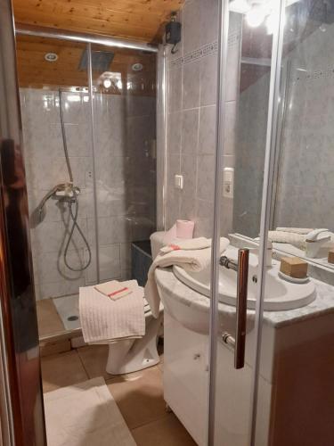 ein Bad mit einer Dusche, einem WC und einem Waschbecken in der Unterkunft Chambre privée dans une maison typique gasconne in Ornézan