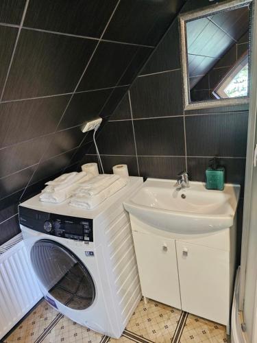 a bathroom with a washing machine and a sink at Square apartments in Rokiškis