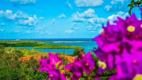 a view of the ocean with pink flowers in the foreground at Castles In Paradise Villa Resort in Vieux Fort